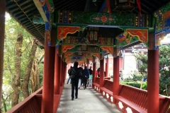 IMG_20161228_084324Edit